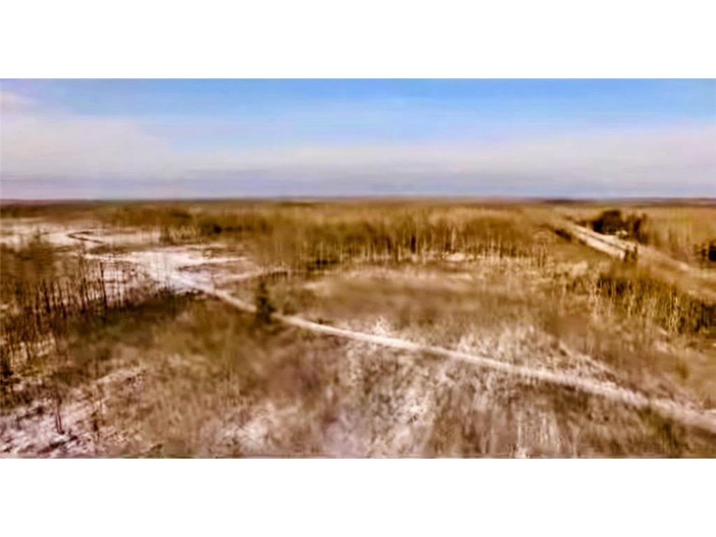 17 E County Road Mizpah MN 56660 6826228 image15