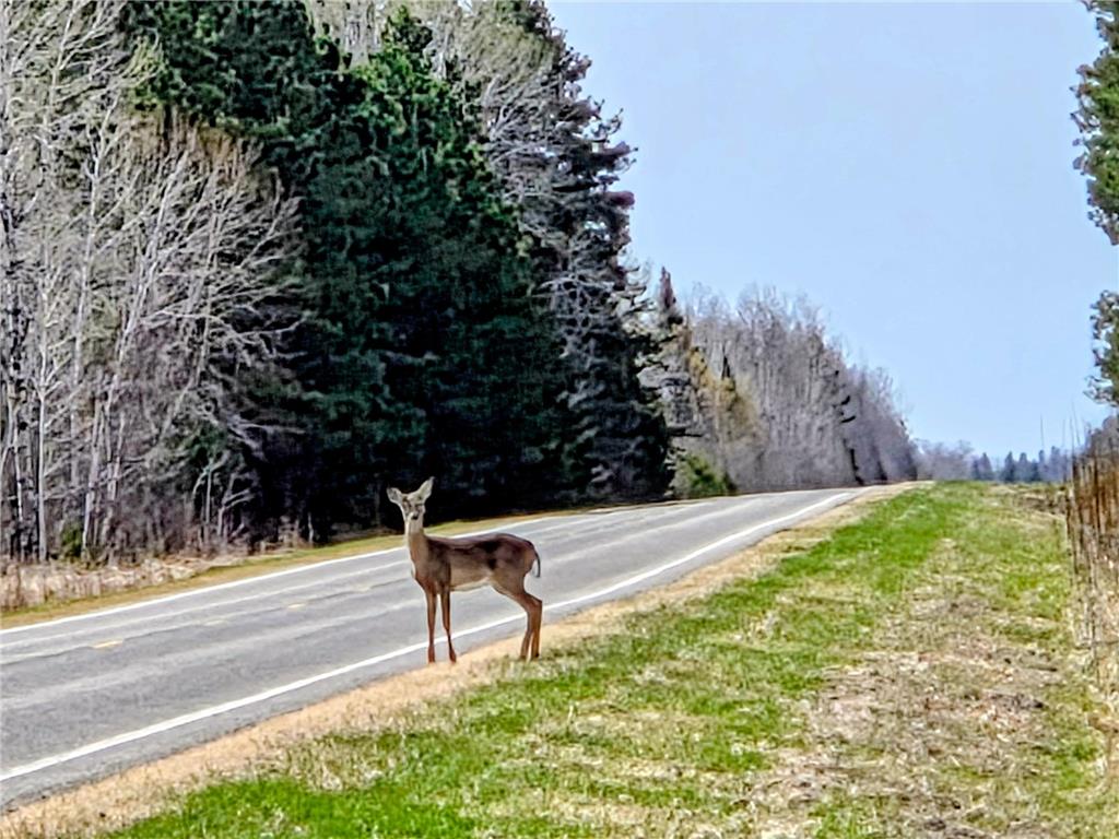 17 E County Road Mizpah MN 56660 6826228 image2