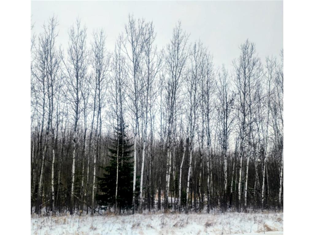 17 E County Road Mizpah MN 56660 6826228 image9