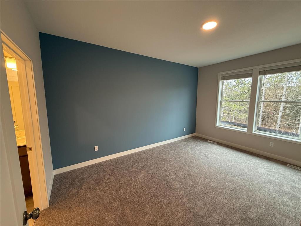 17 Palomino Court Hudson WI 54016 7064962 image16