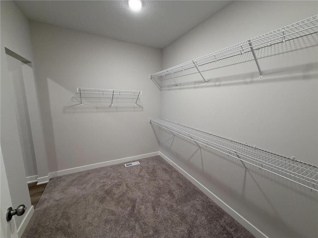 17 Palomino Court Hudson WI 54016 7064962 image18
