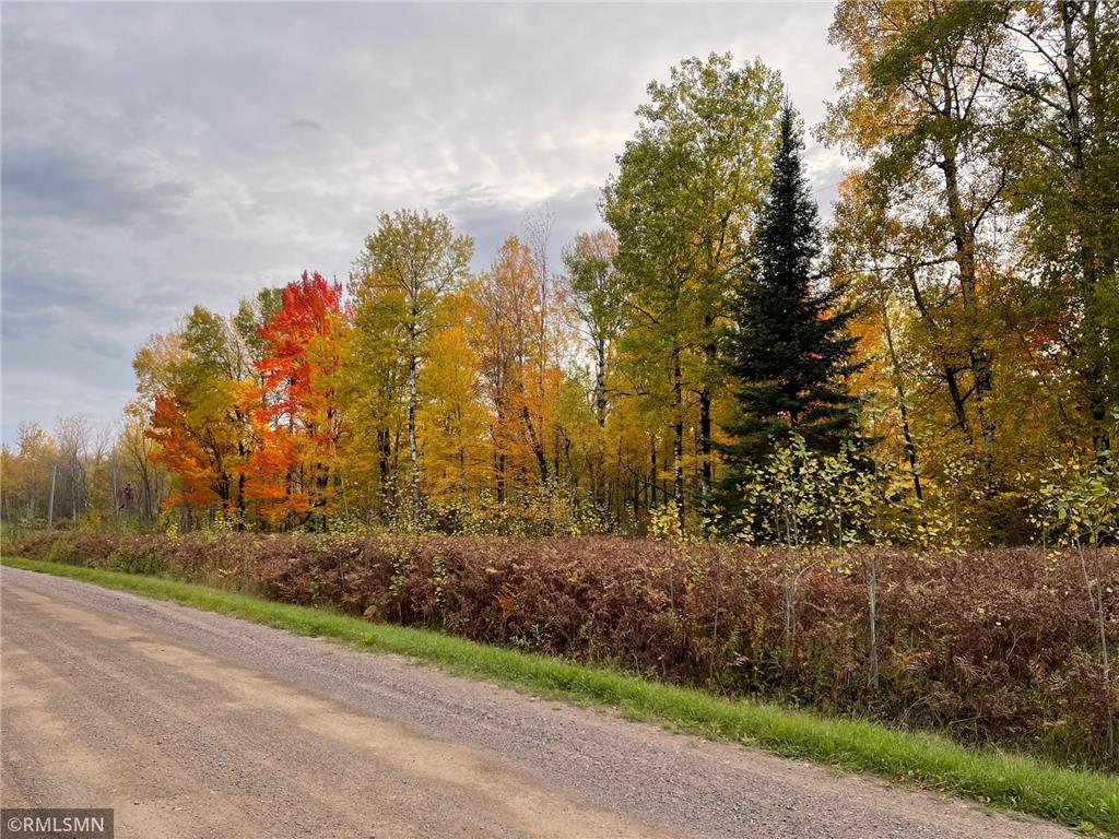 170 Mcgonagle Road, Floodwood, MN, 55736 MLS 6268298 Edina Realty