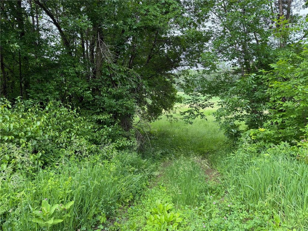 17001 Elmore Avenue Faribault MN 55021 6738872 image2