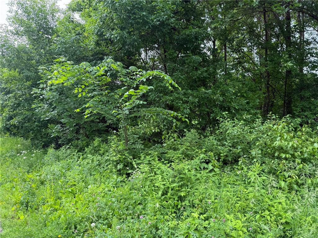 17001 Elmore Avenue Faribault MN 55021 6738872 image3