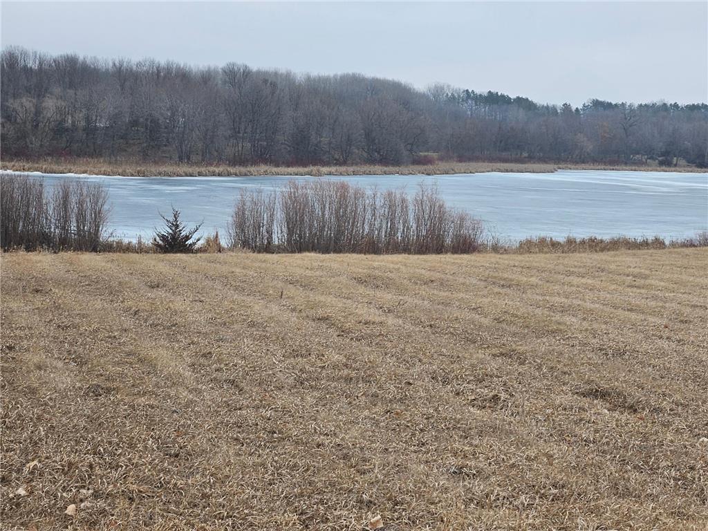 17004 207th Avenue Eden Valley MN 55329 - South Brown's 6485359 image1