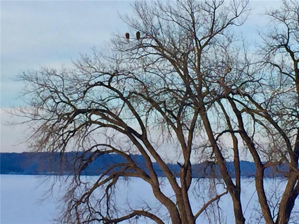 1701 1st Street #4 Pepin WI 54759 - Lake Pepin 6646965 image32