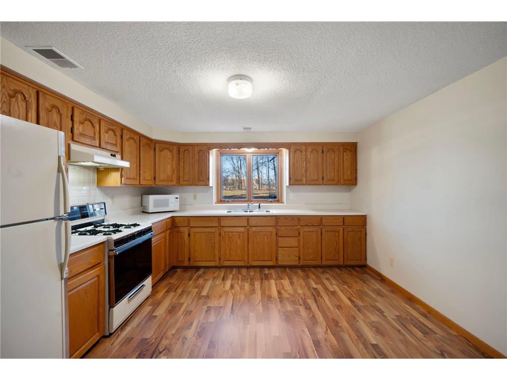 17010 Azurite Street NW Ramsey MN 55303 6792019 image14