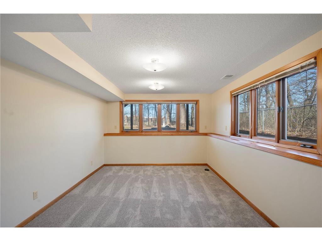 17010 Azurite Street NW Ramsey MN 55303 6792019 image19