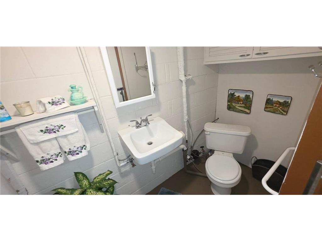 1702 Frank Hall Drive Albert Lea MN 56007 7071209 image42