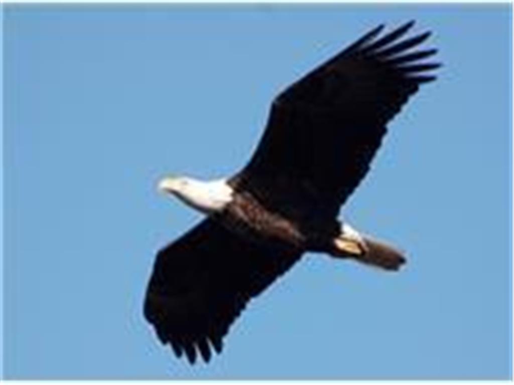 1702 N Lakeshore Drive #8 Lake City MN 55041 - PEPIN 6675183 image17