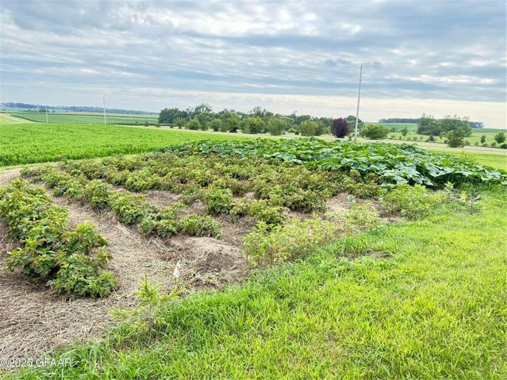 17021 470th Street Scambler Twp MN 56572 - Pete 7033840 image47