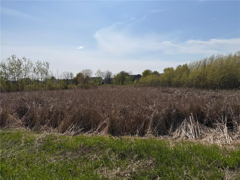 1703 Spruce Street Farmington MN 55024 7057494 image49