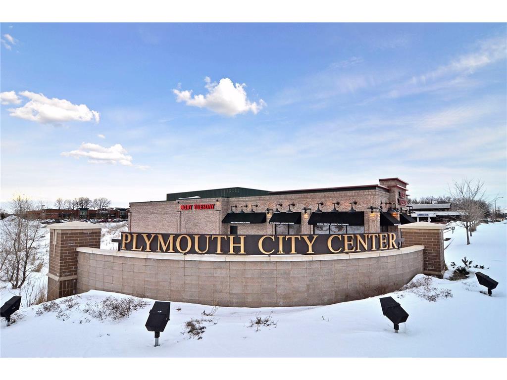 17030 30th Avenue N Plymouth MN 55447 7090628 image73