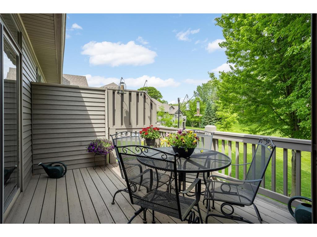 17034 Kings Court #0 Lakeville MN 55044 6788967 image28