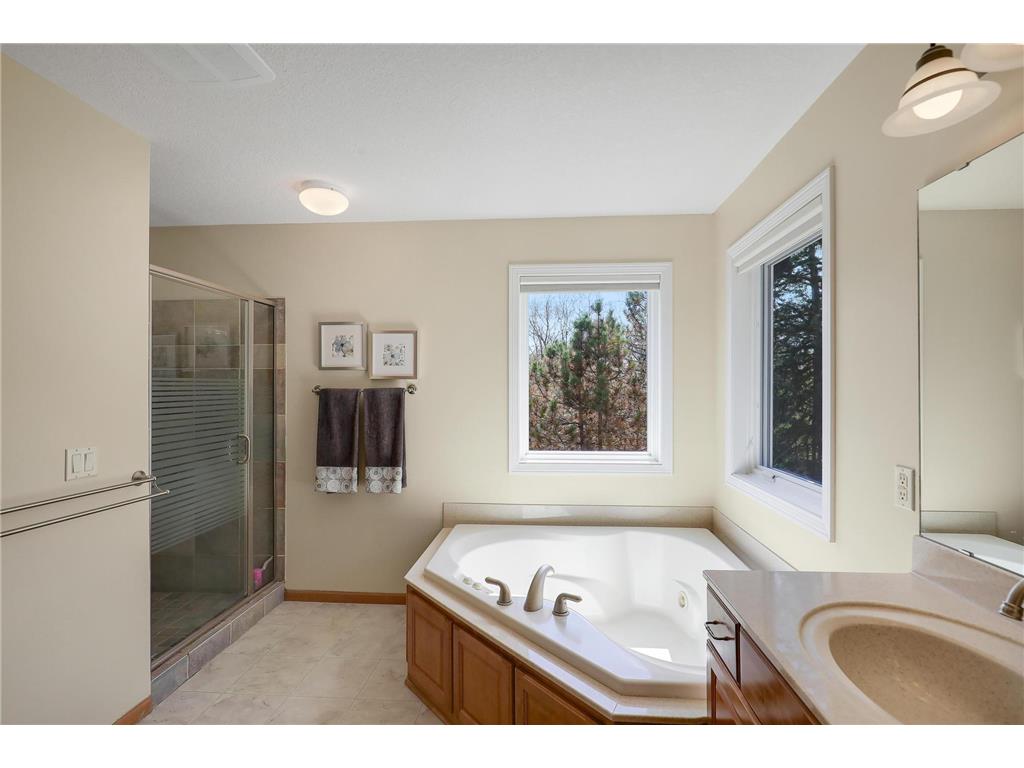 17039 Valley Road Eden Prairie MN 55347 7058254 image58