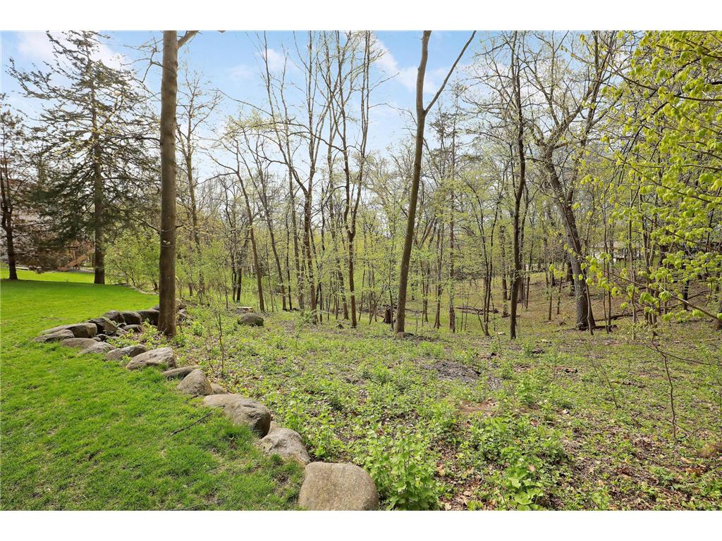 17039 Valley Road Eden Prairie MN 55347 7058254 image96