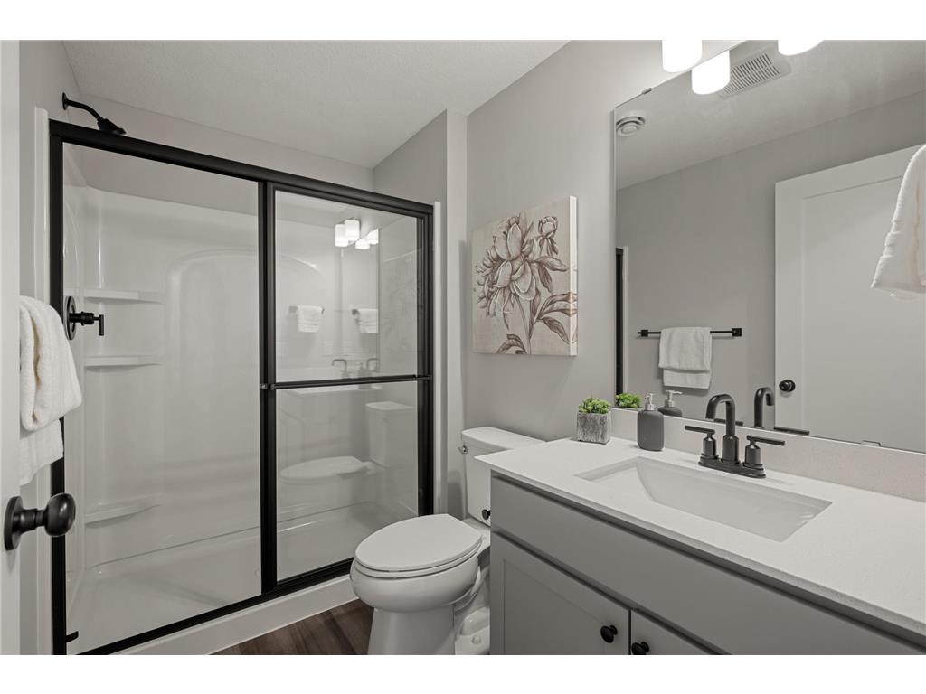 17041 Uranimite NW Ramsey MN 55303 6820992 image22