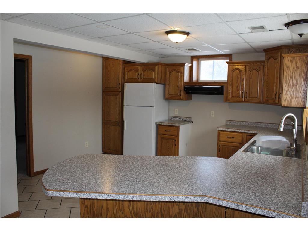 17042 250th Avenue Eden Lake Twp MN 56362 7027173 image26