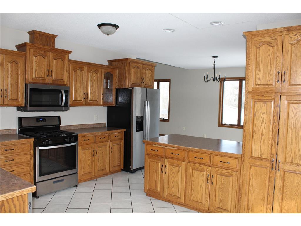 17042 250th Avenue Eden Lake Twp MN 56362 7027173 image4