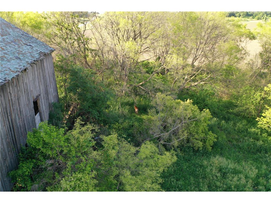 17063 County Road 10 NE Saint Charles MN 55972 6700218 image14