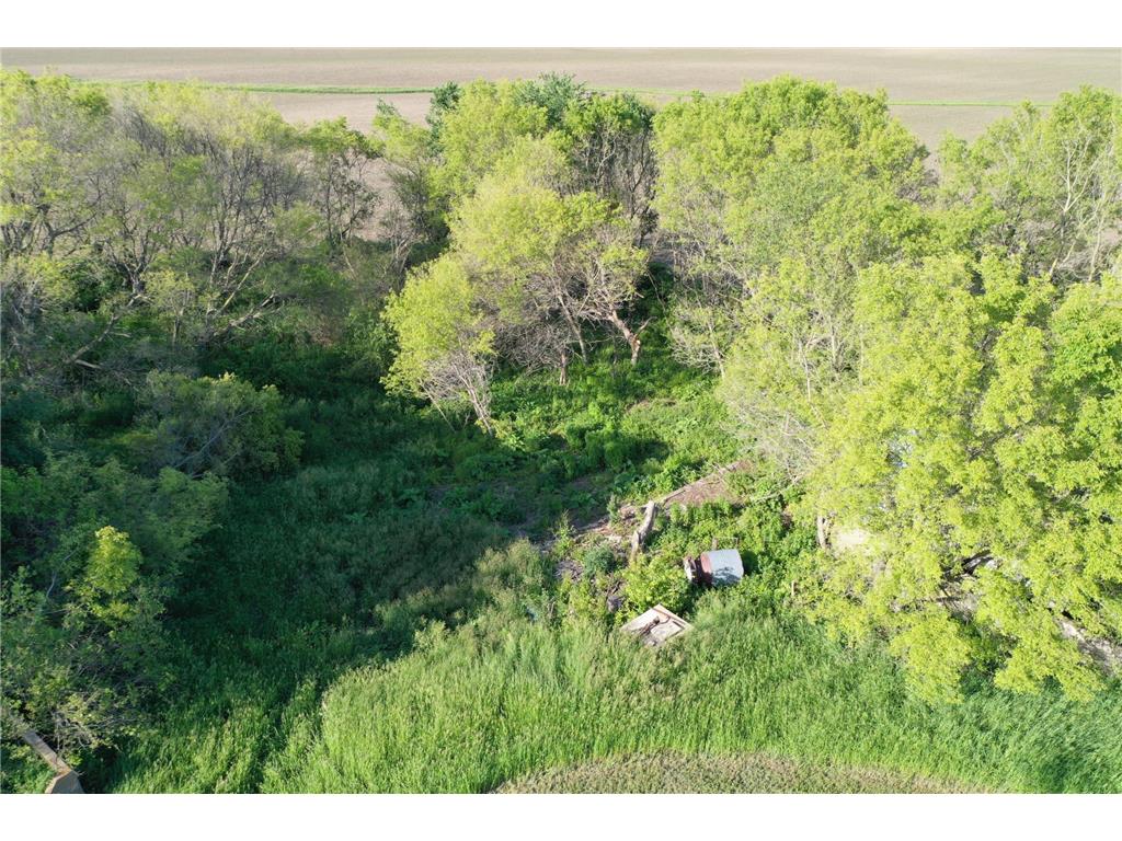 17063 County Road 10 NE Saint Charles MN 55972 6700218 image15