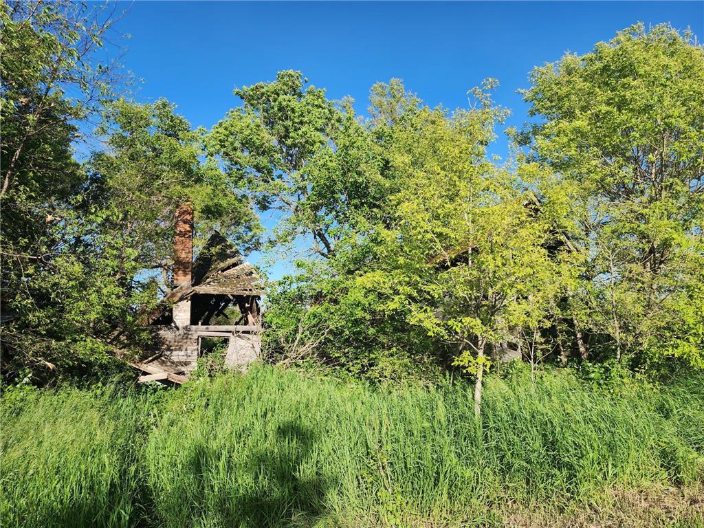 17063 County Road 10 NE Saint Charles MN 55972 6700218 image20