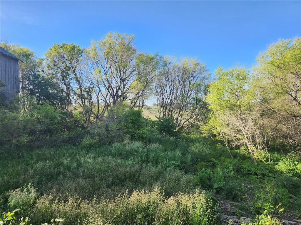 17063 County Road 10 NE Saint Charles MN 55972 6700218 image23