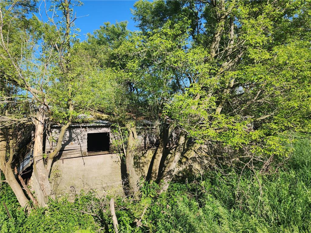 17063 County Road 10 NE Saint Charles MN 55972 6700218 image25