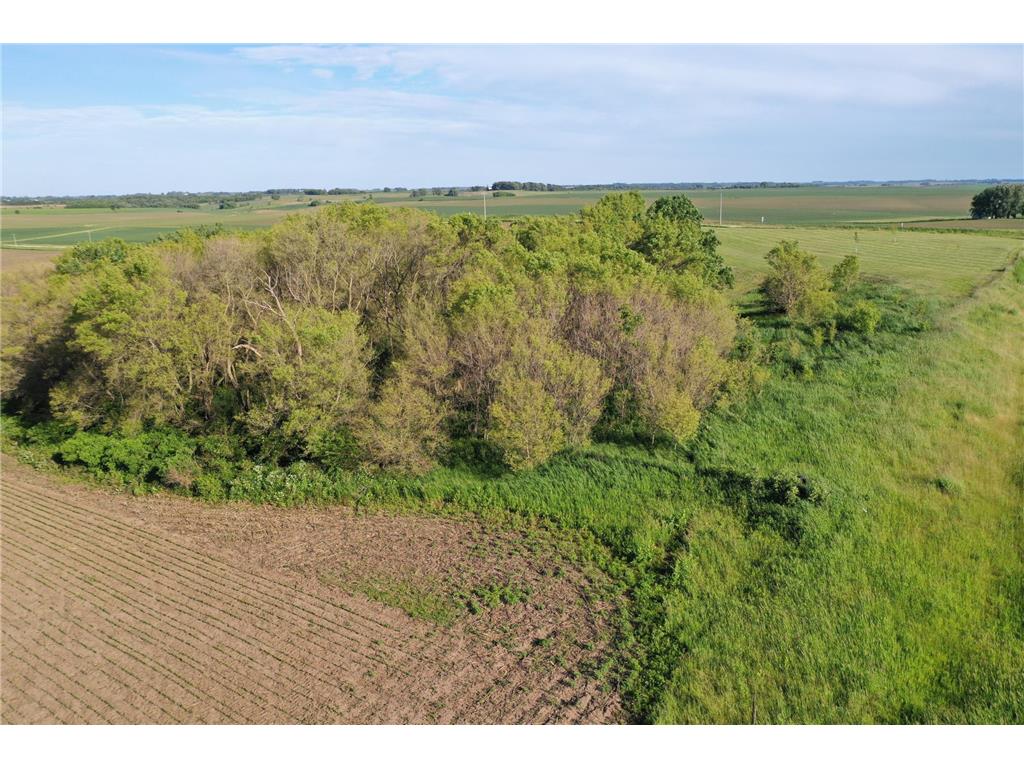 17063 County Road 10 NE Saint Charles MN 55972 6700218 image8