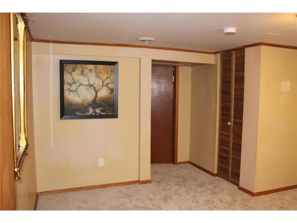 1707 7th Street NE Rochester MN 55906 6811752 image55