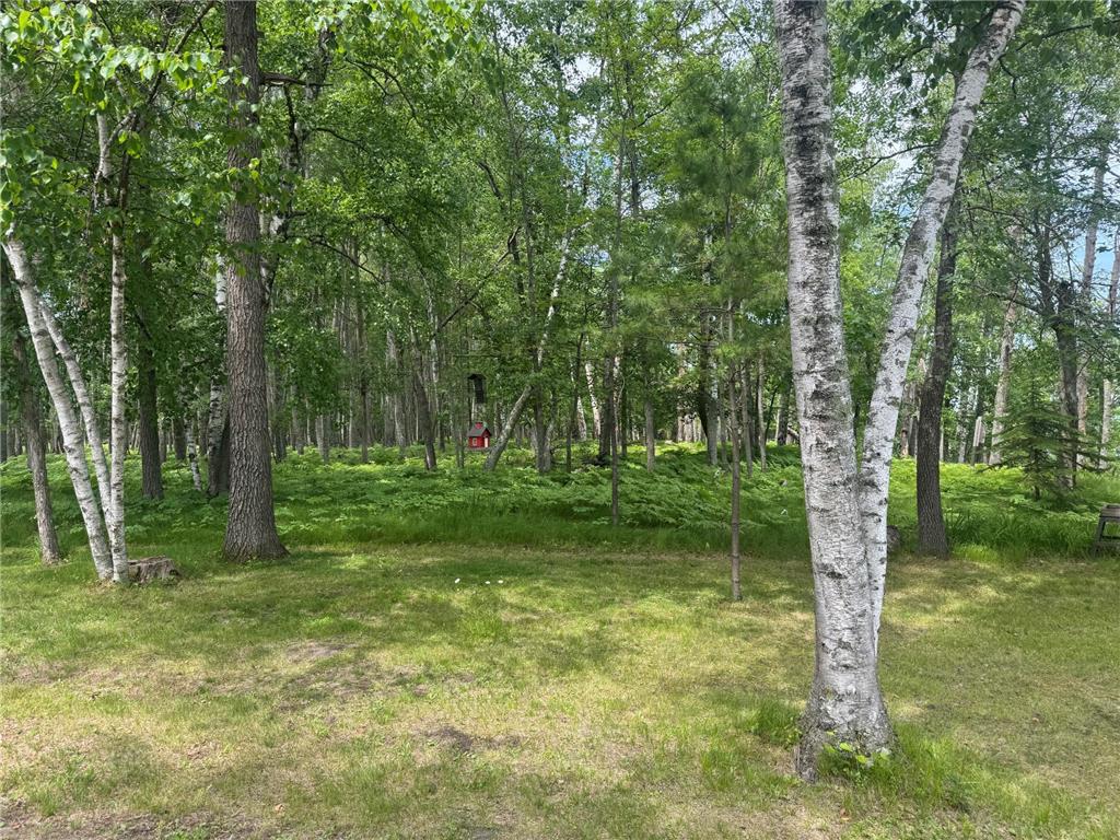 1707 Crosby Court SE #10 Ten Lake Twp MN 56601 - Andrusia Lake 7042081 image23