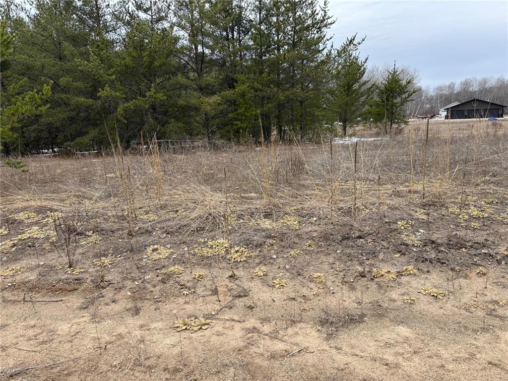 1707 Hassman Hill Tract B Road SW Pine River MN 56474 7042762 image3