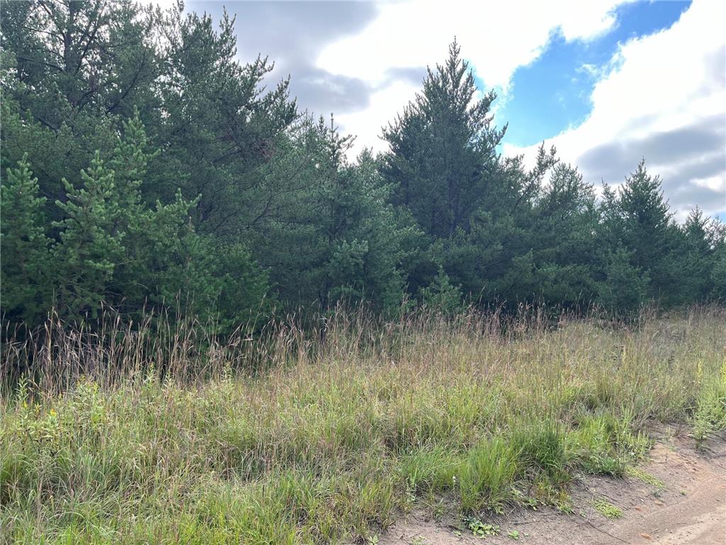 1707 Hassman Hill Tract C Road SW Pine River MN 56474 6692741 image1
