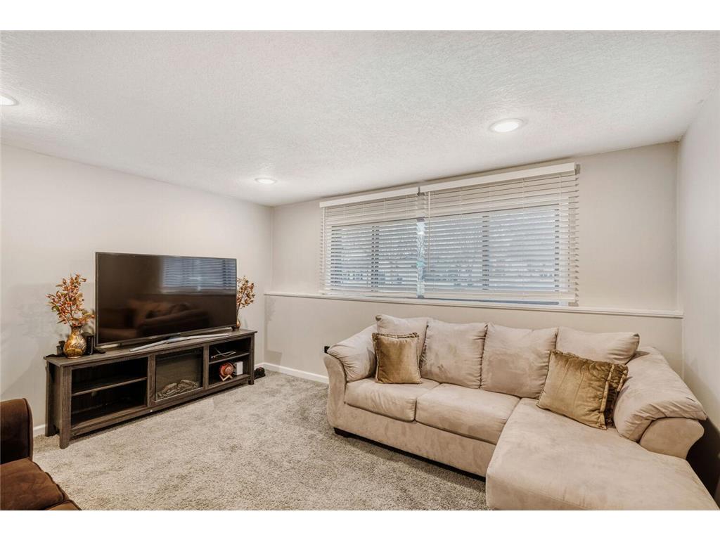17073 Gage Avenue Lakeville MN 55024 7064921 image15