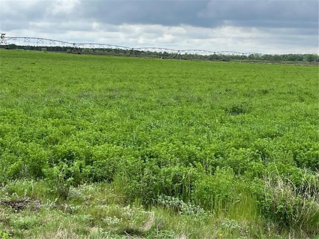 17075 Townline Circle Pelican Rapids MN 56572 6539181 image1