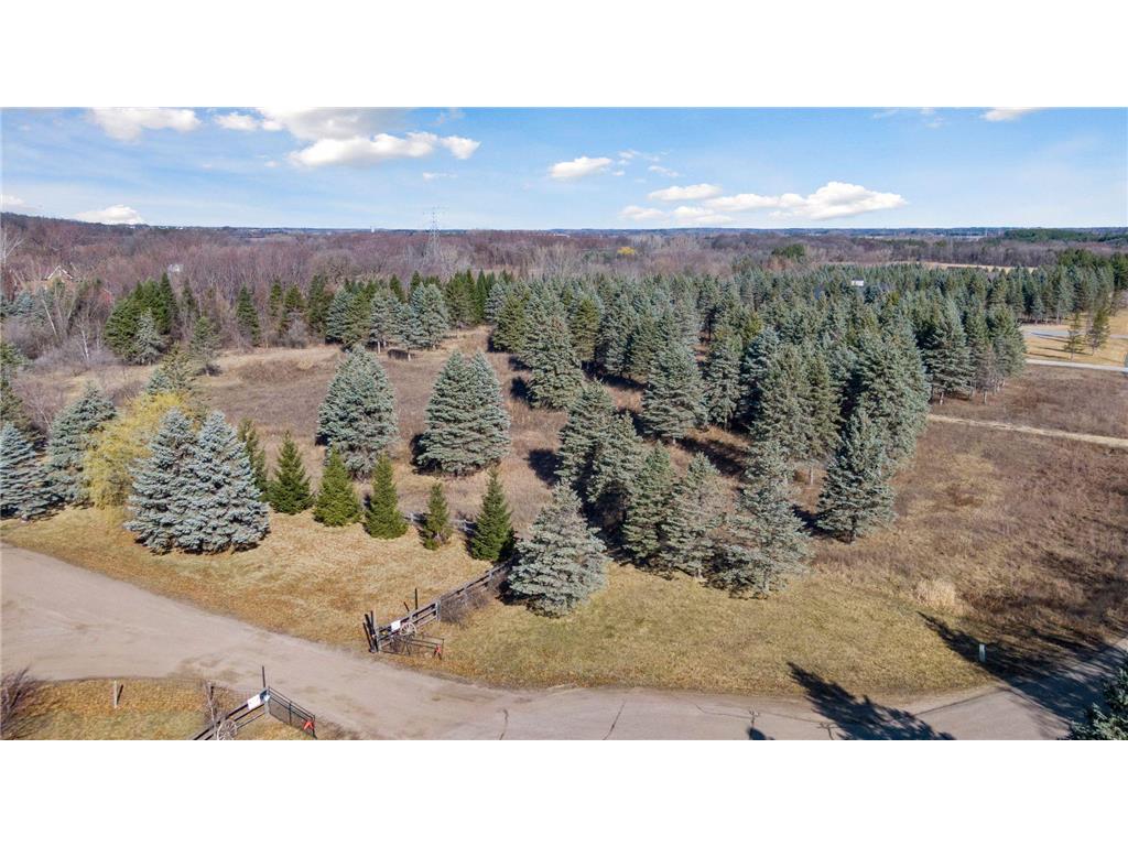 1708 Majestic Pines Trail Afton MN 55001 6504653 image6