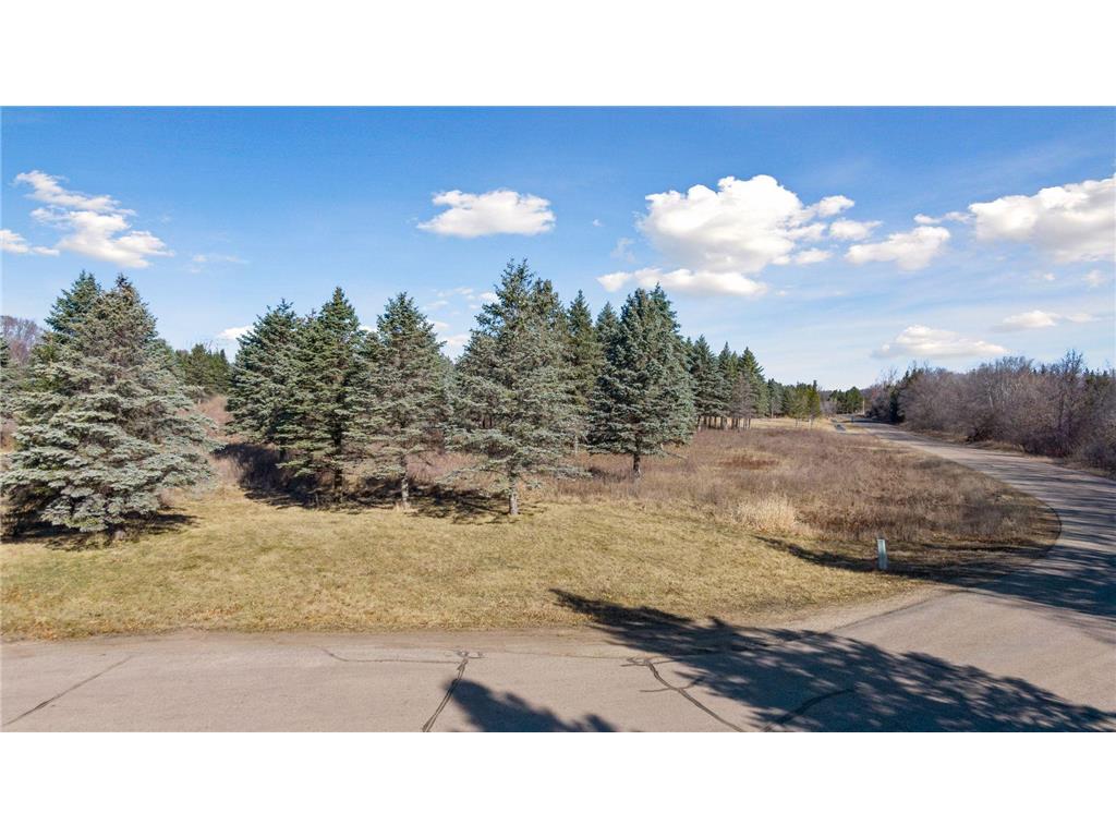 1708 Majestic Pines Trail Afton MN 55001 6504653 image8