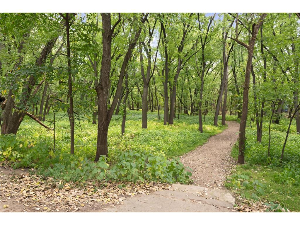 1709 Field Avenue Saint Paul MN 55116 7039448 image25