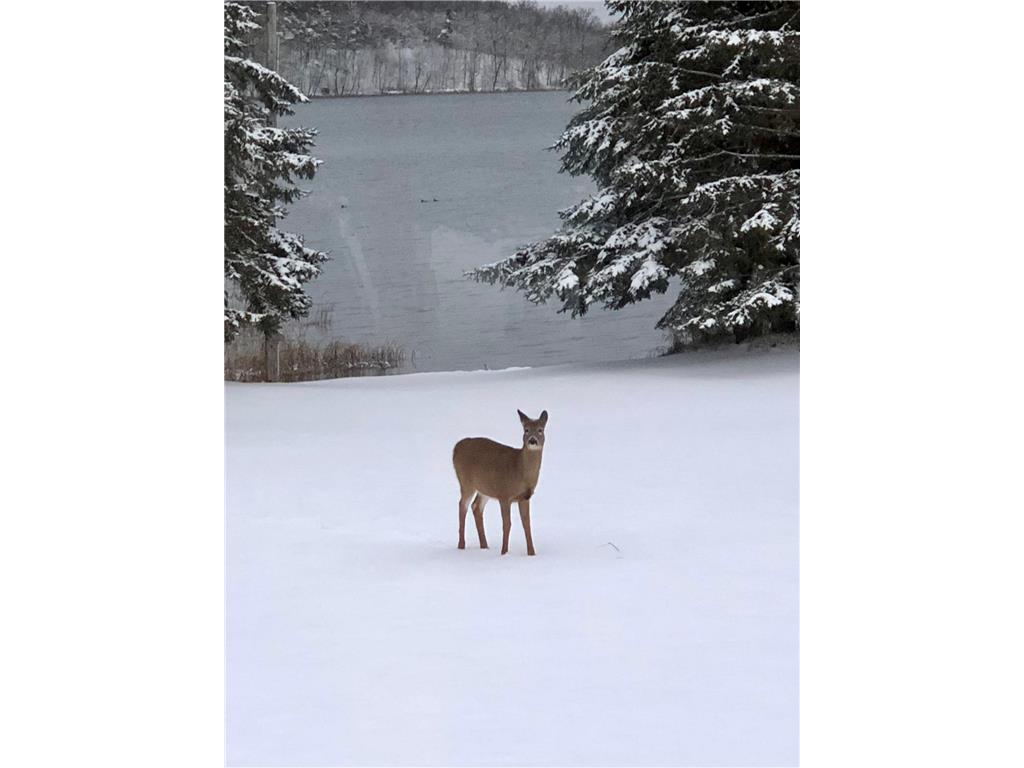 17096 Skyview Drive NW Bemidji MN 56601 - Little Turtle 7054910 image39