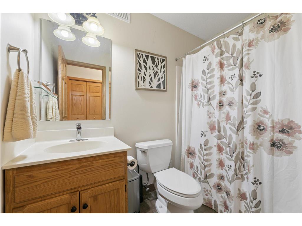 17107 172nd Avenue SE Becker Twp MN 55309 7095345 image24