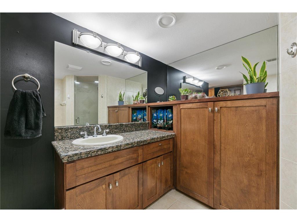 17107 172nd Avenue SE Becker Twp MN 55309 7095345 image31