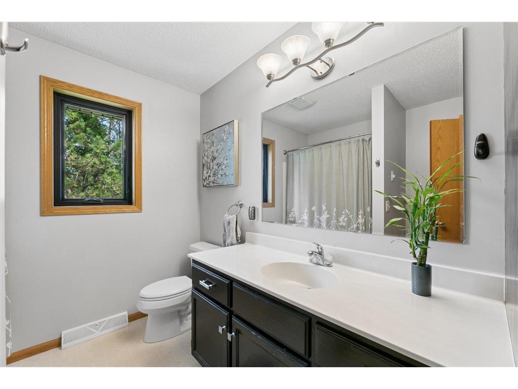 17107 172nd Avenue SE Becker Twp MN 55309 7095345 image38