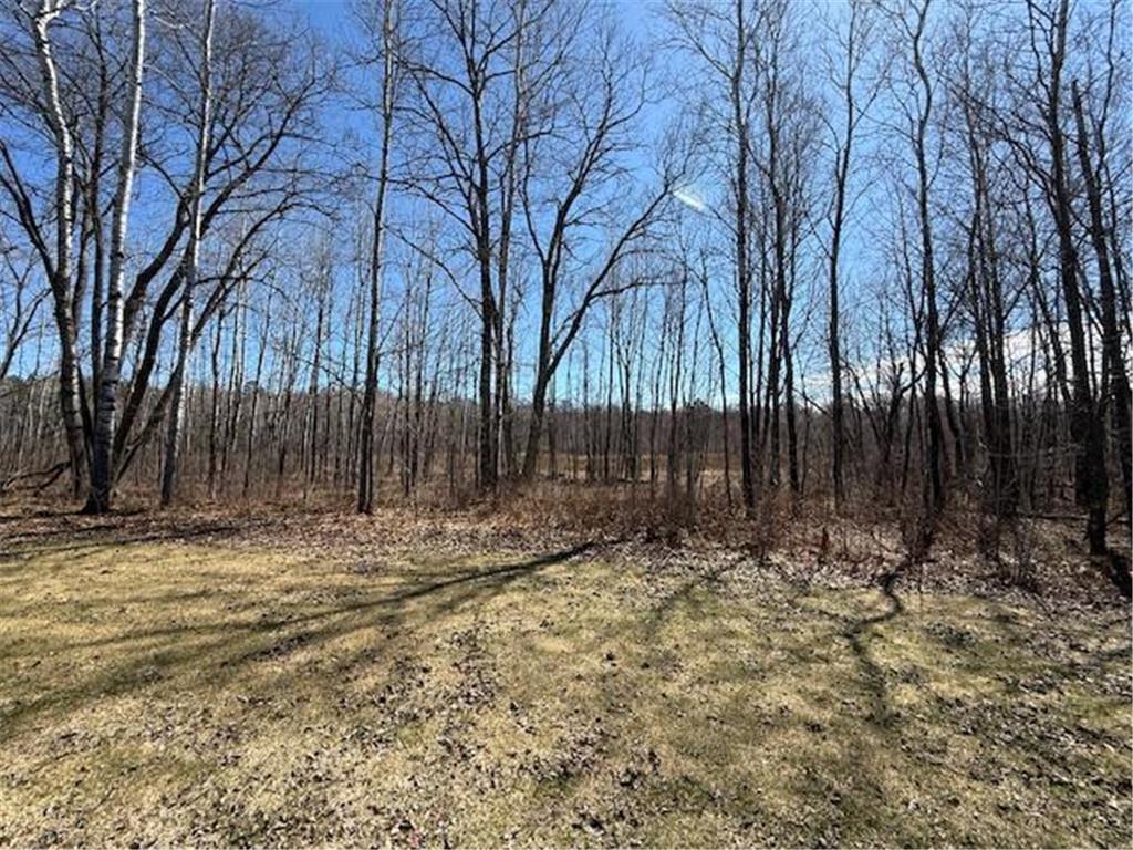17107 508th Lane Shamrock Twp MN 55760 7062290 image41
