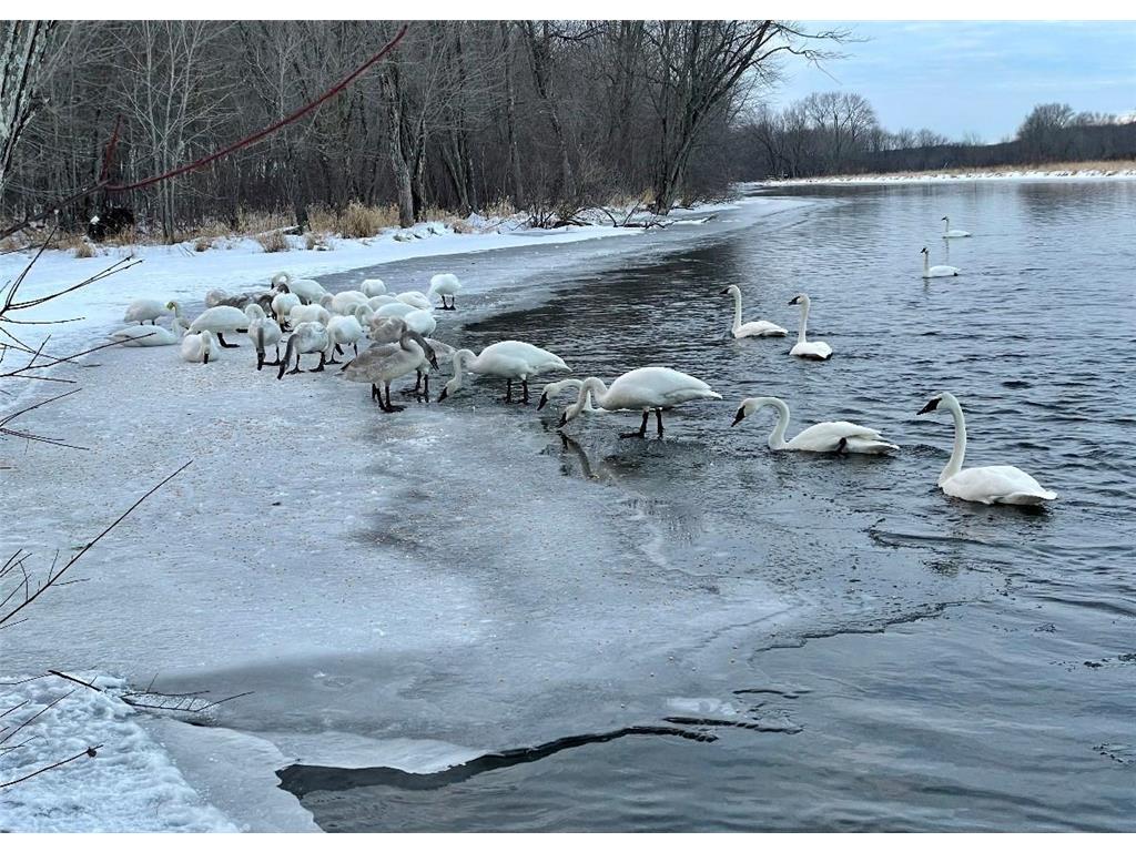 1711 W Church Road Alden Twp WI 54026 - Apple River 7069599 image116