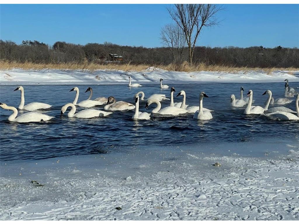 1711 W Church Road Alden Twp WI 54026 - Apple River 7069599 image118