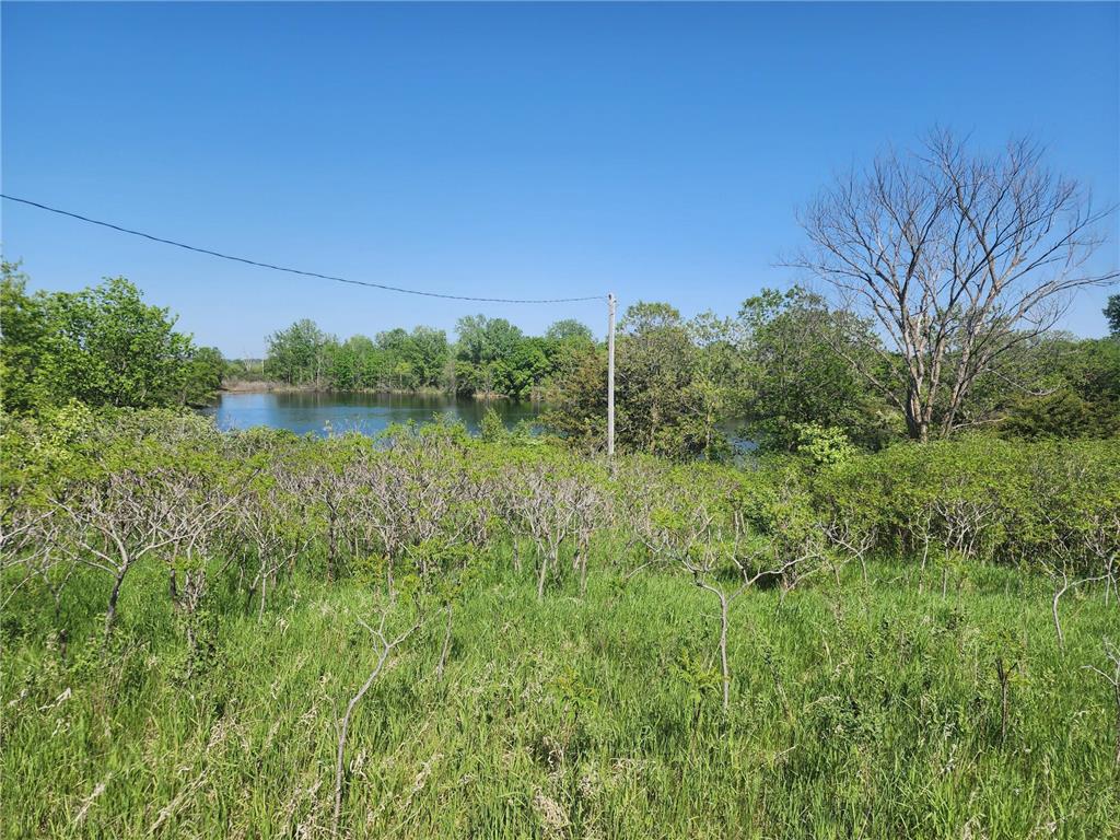 17112 US 71 Little Sauk Twp MN 56347 6375676 image1