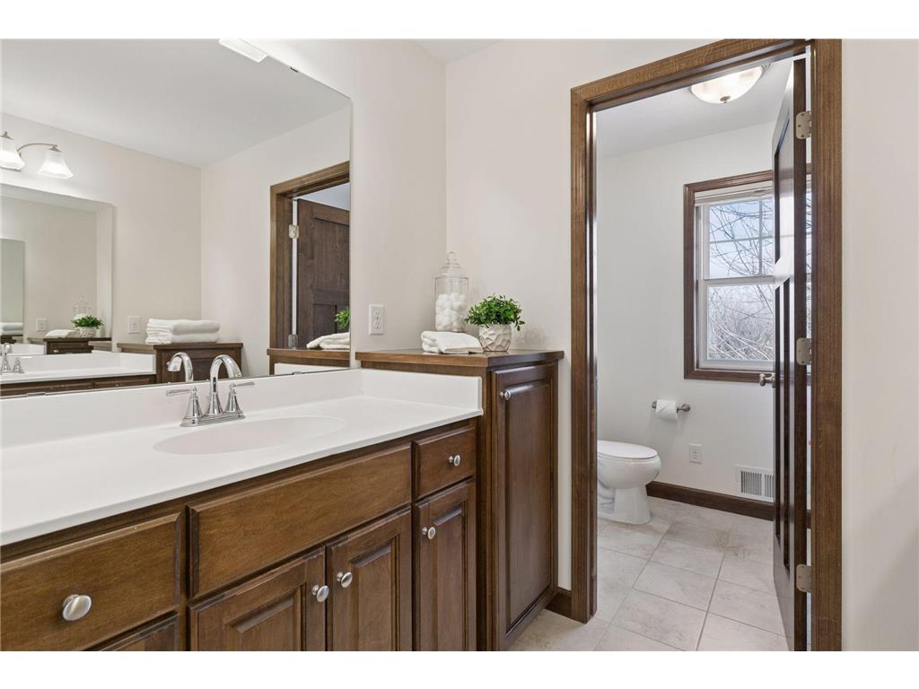 17118 Hollyhock Court Lakeville MN 55044 7029417 image41