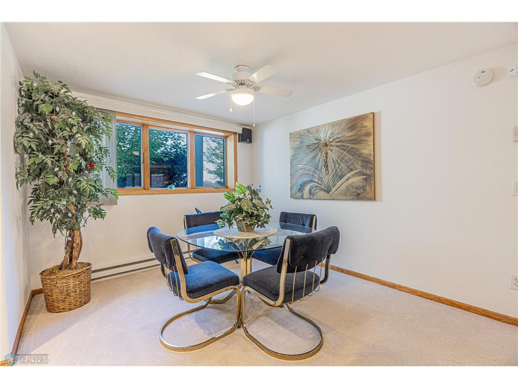 17123 Lakeview Lane Lake Eunice Twp MN 56511 7017770 image43