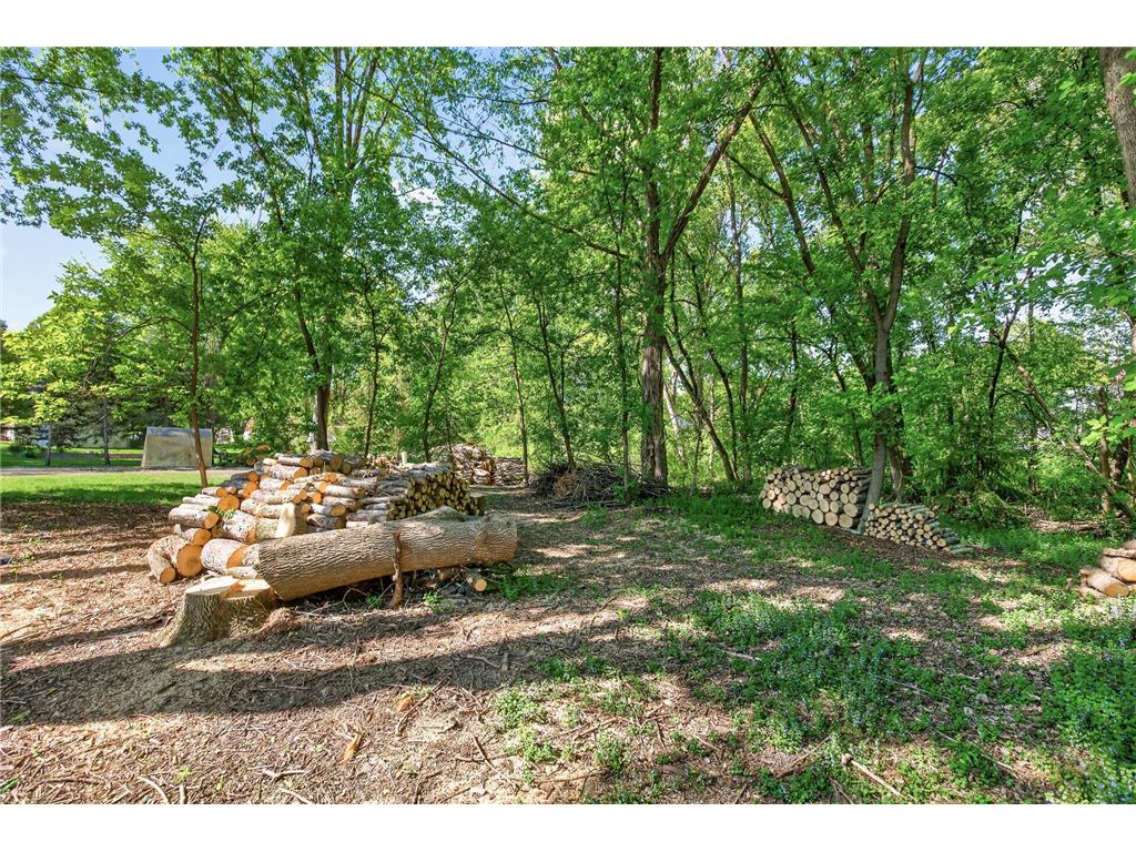 17125 Hemlock Court Lakeville MN 55044 7069619 image20