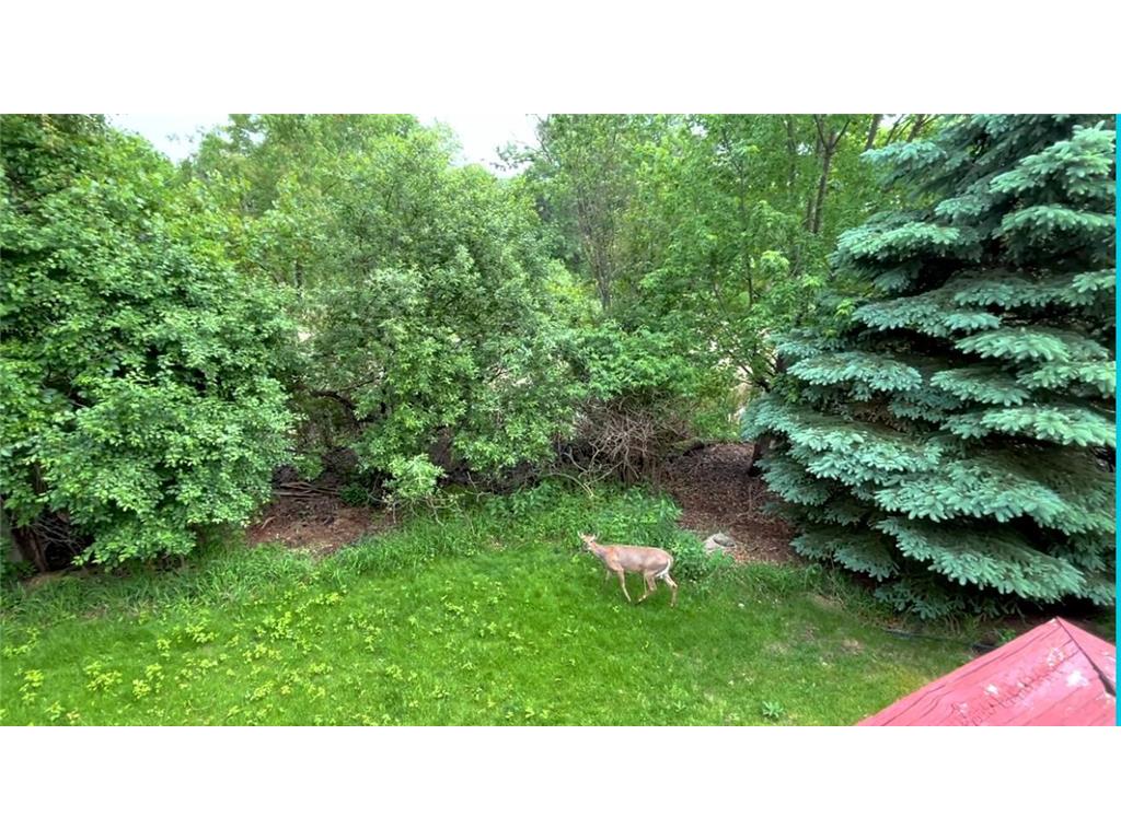 17126 Jonathan Court Lakeville MN 55044 7084473 image76